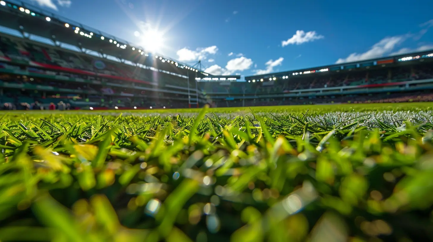 Exploring the Heart of Rugby in New Zealand