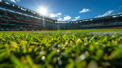 Exploring the Heart of Rugby in New Zealand