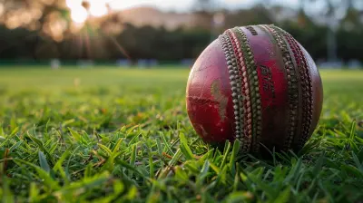 T20 Cricket: Is It Changing the Way We See the Game?