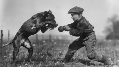 When the Odds Were Stacked Against Them: Greatest Underdog Triumphs
