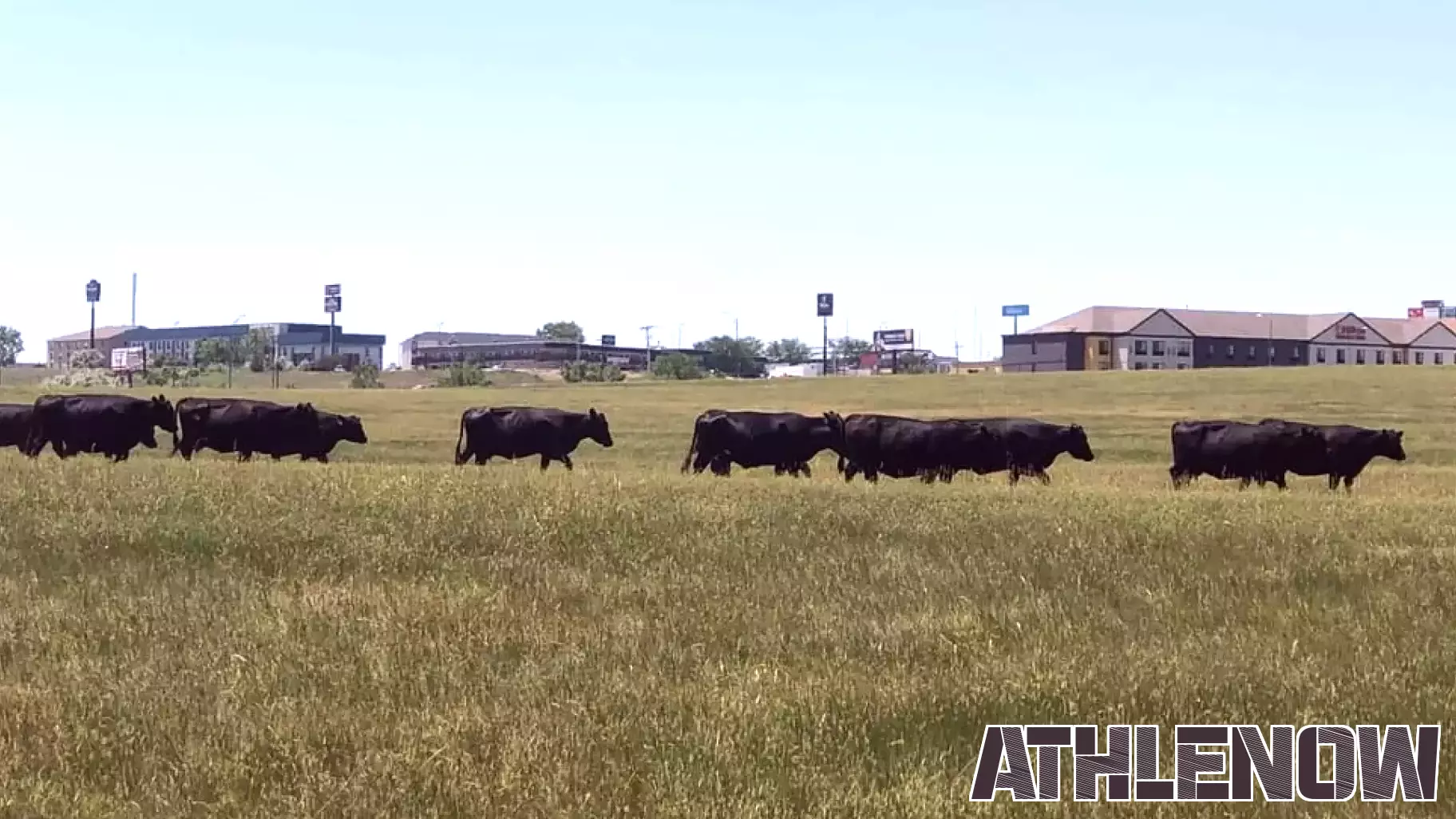 From Fields of Grass to Fields of Dreams: New Sports Complex to Transform Rapid City