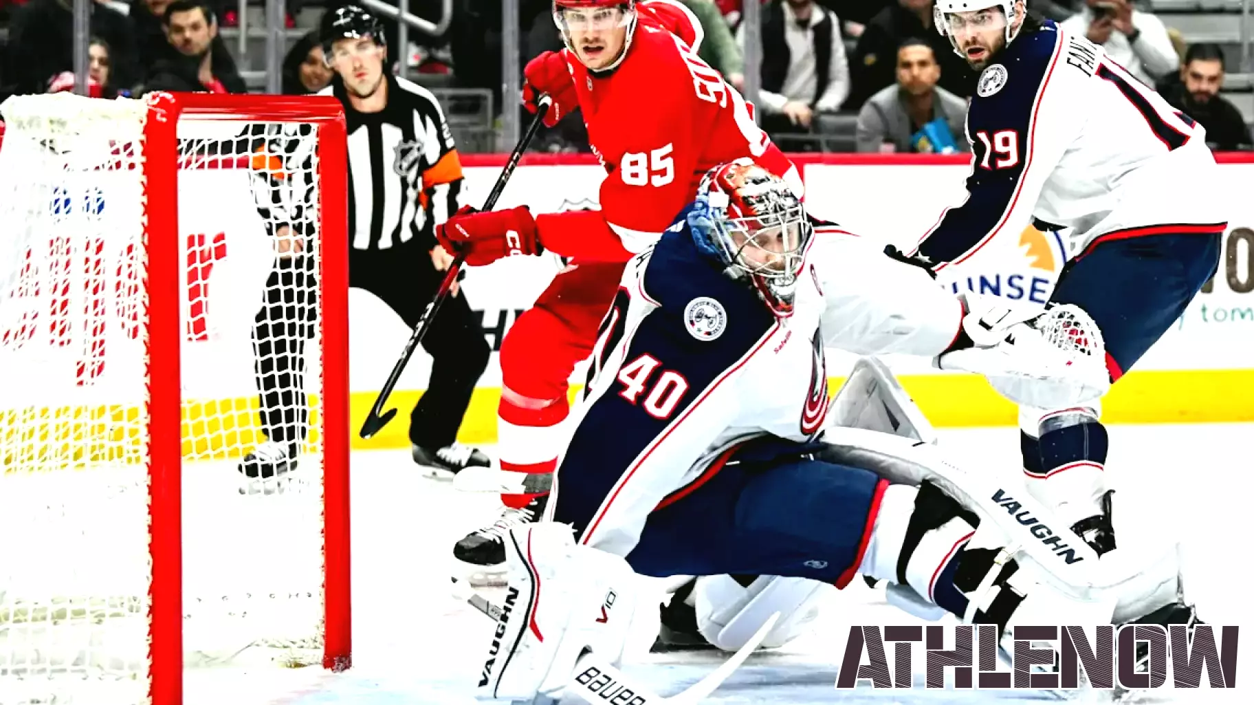 Red Wings Sign Backup Goaltender