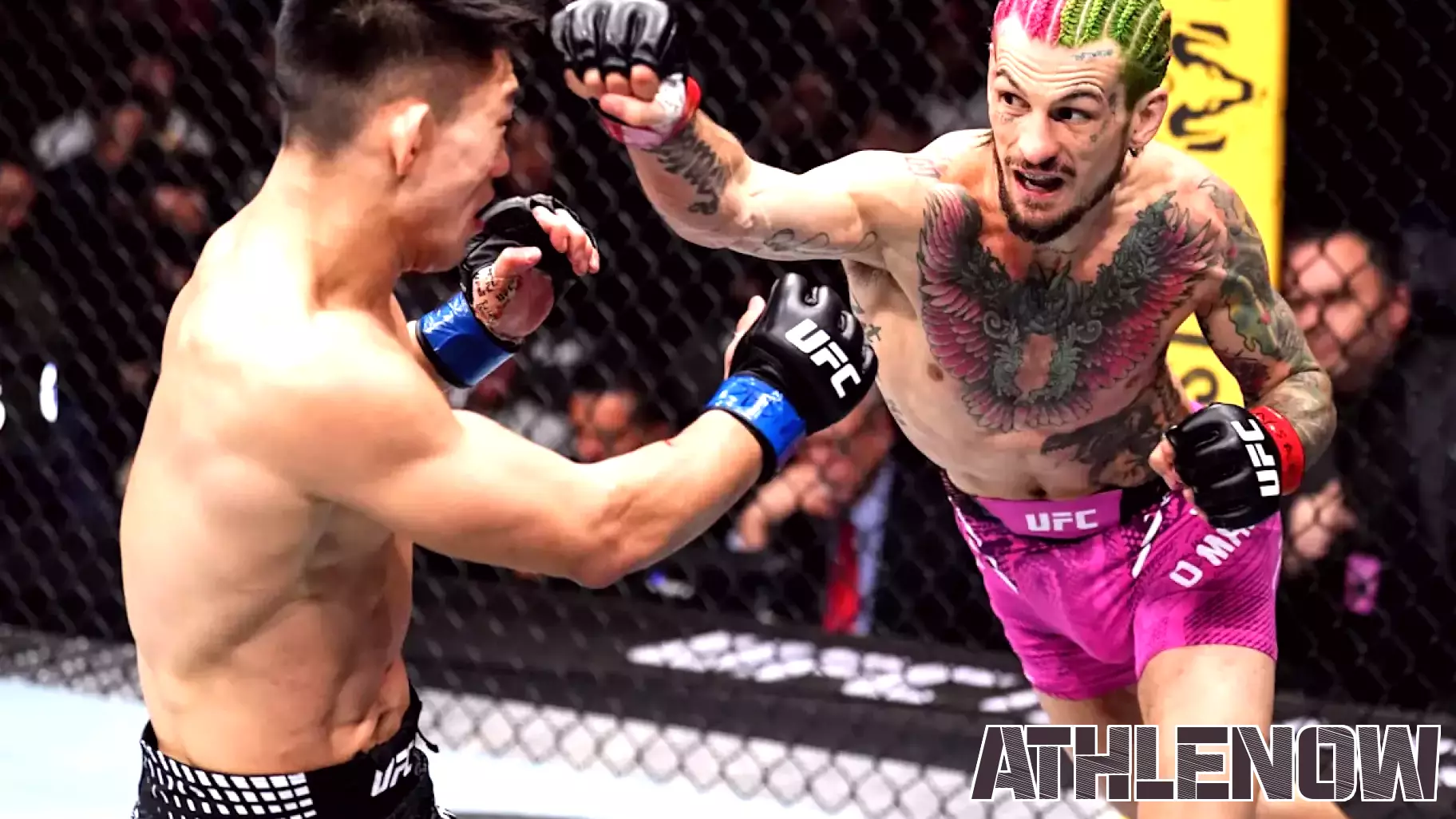 Sean O’Malley vs. Song Yadong full fight video highlights