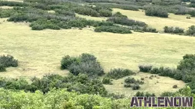 Douglas County to Explore Plans for a Major Sports Complex